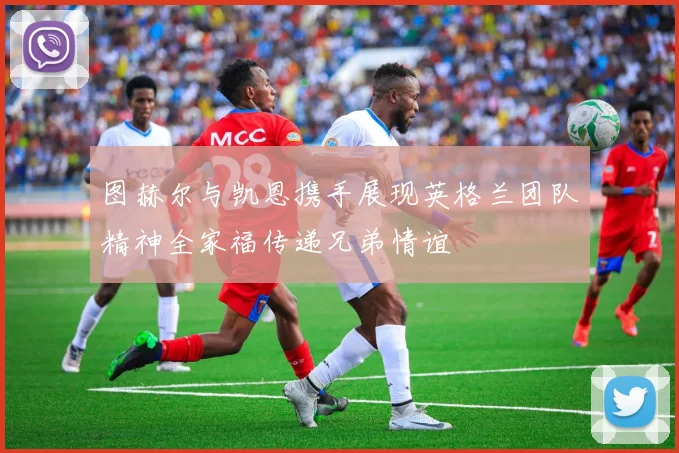 图赫尔与凯恩携手展现英格兰团队精神全家福传递兄弟情谊