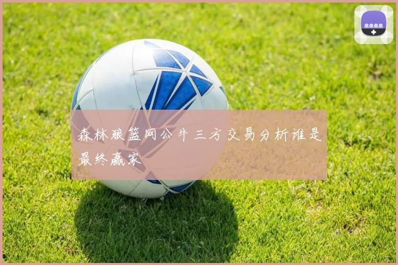 森林狼篮网公牛三方交易分析谁是最终赢家